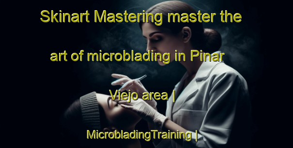 Skinart Mastering master the art of microblading in Pinar Viejo area | MicrobladingTraining | MicrobladingClasses | SkinartTraining-Dominican Republic